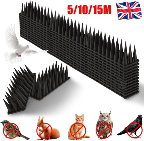 15m bird spikes - bird,