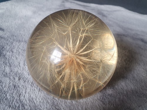 Vintage hafod grange - grange, dandelion