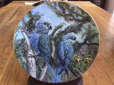 MACAW PLATE - SPIX MACAWS - FRAGILE PARADISE - WEDGWOOD - PARROT