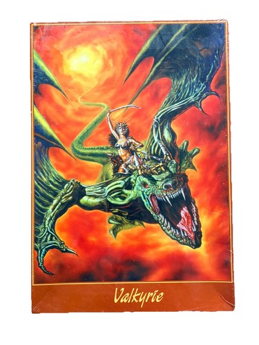 New sealed valkyrie dragon - new,