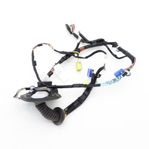 Wiring harness lead set door - wiring,