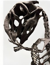 Large Oviraptor Fetus Fossil