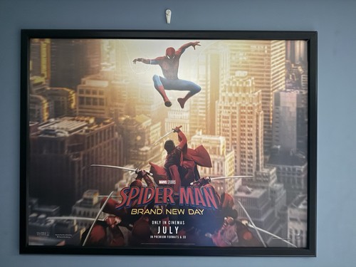 Spider man brand new - brand,