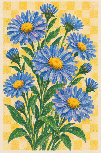 Aster flower risograph - aster,