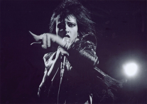 Siouxsie and the - and,