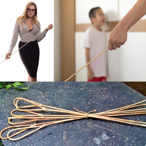 Rattan scholastic punishment - scholastic,