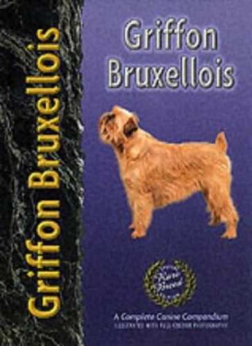 Griffon bruxellois pet - griffon, (pet