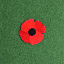 Remembrance Day Poppy Patch