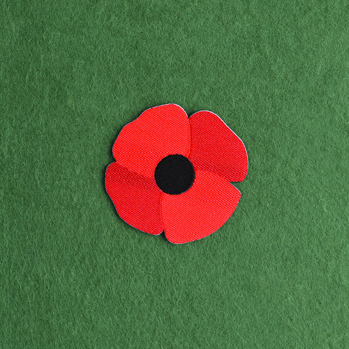 Remembrance day poppy patch - day,