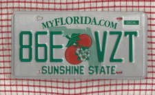 FLORIDA AMERICAN LICENSE