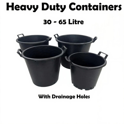 Large plant tree pot - plant,