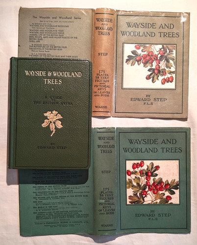 Wayside and woodland - wayside, trees