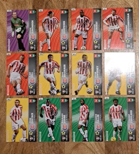 Stoke city panini championship - city,