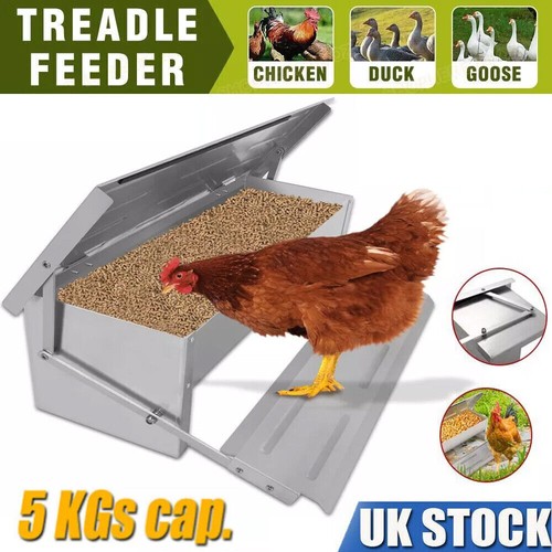 5kg metal auto chicken treadle - auto,