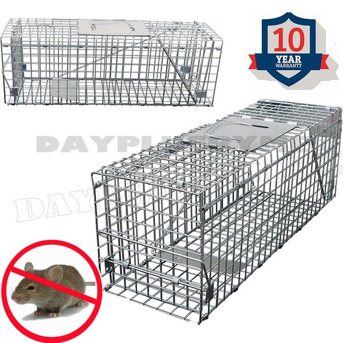 2026 extra large - animal, trap