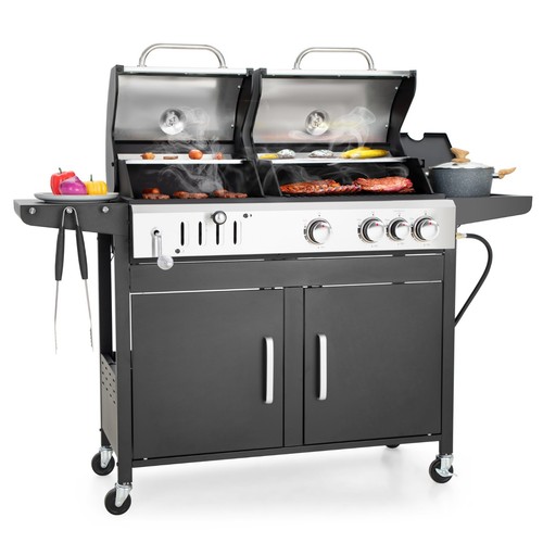 Dual fuel gas - gas, charcoal