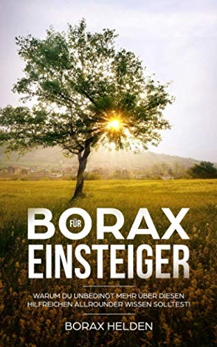 Borax für einsteiger warum - borax, einsteiger: