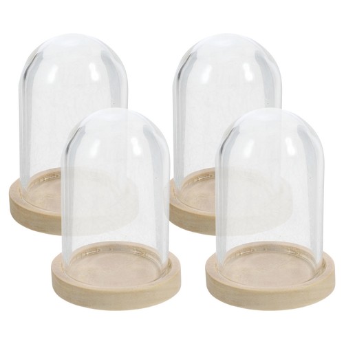Clear glass display dome - display,