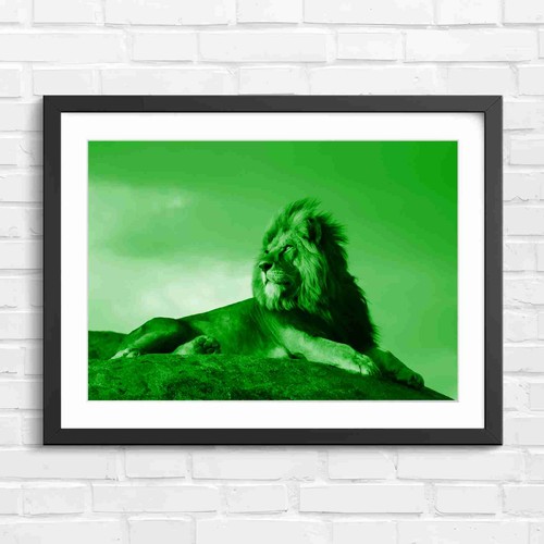 Majestic male lion portrait - majestic,