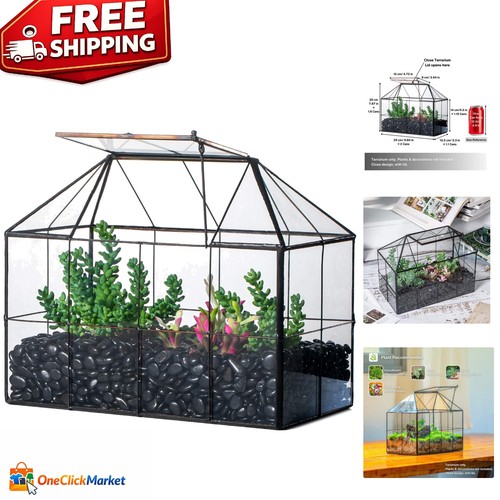 Classic black glass terrarium - classic,
