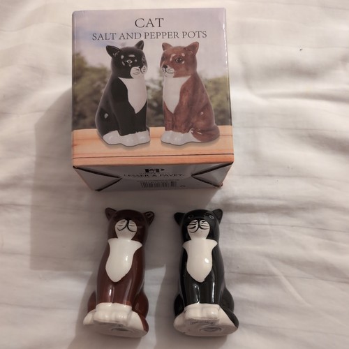 Boxed cat salt - cat, pots