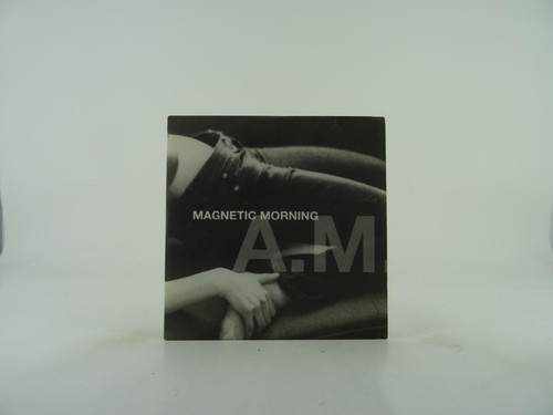Magnetic morning 10 - (249),