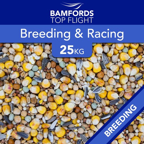 Bamfords breeding racing - bamfords,