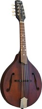 Kentucky KM-206 A STYLE