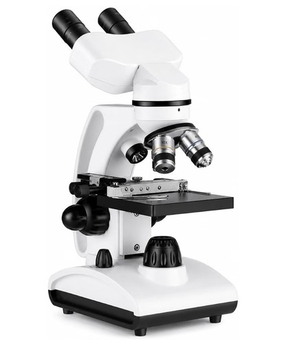 Binocular compound microscope - binocular,