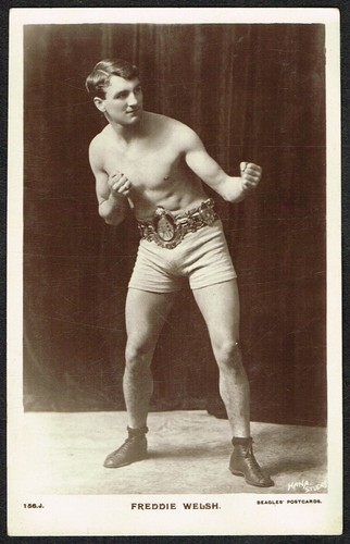 Freddie walsh boxer - walsh, ☆