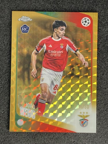 Joao rego rookie - joao,