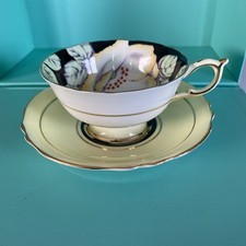  PARAGON  Dogwood Rose. Yellow