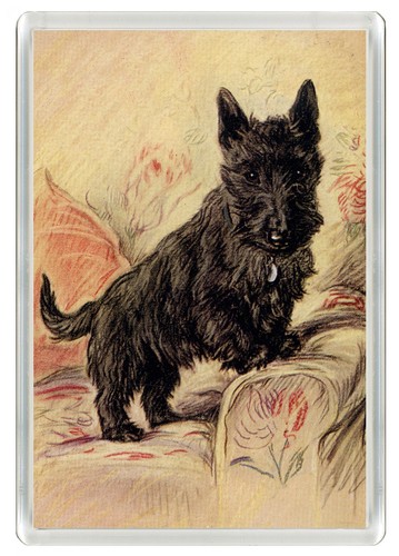 Scottish terrier dog fridge - terrier,