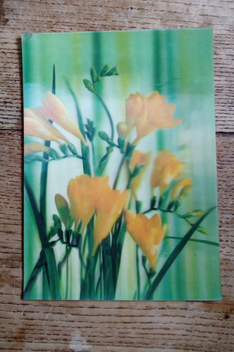 Toppan lenticular postcard - 3d,