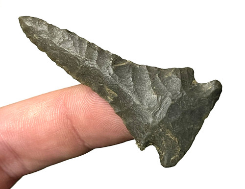 Exceptional ohio archaic drill - exceptional,