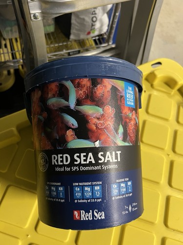 Red sea reef - red,