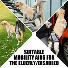 Adjustable Dog Rear Leg