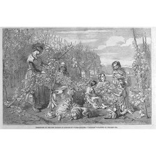 WILLIAM LEE Hoppers, Victorian