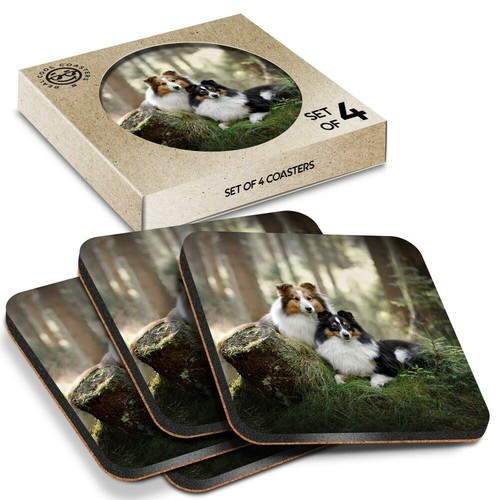 Boxed square coasters - x,