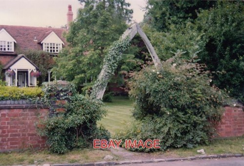 Photo whalebone arden - photo,