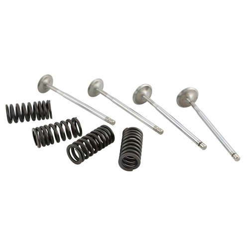 Malossi racing valve set with - racing,