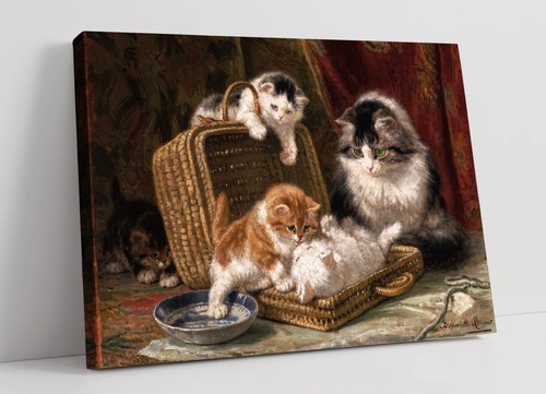 Kittens playing henriette - playing,,