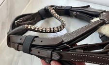 Brown Cob Size Grackle Bridle