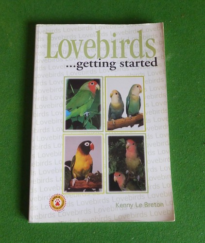 Book lovebirds getting - book,