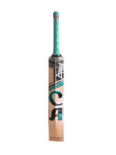 CA Pro Edition 10000 Cricket