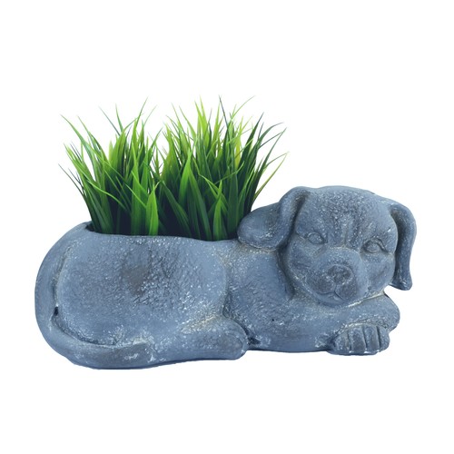 Unusual sleepy puppy - sleepy,
