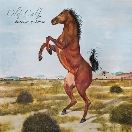 Old calf borrow a - :,