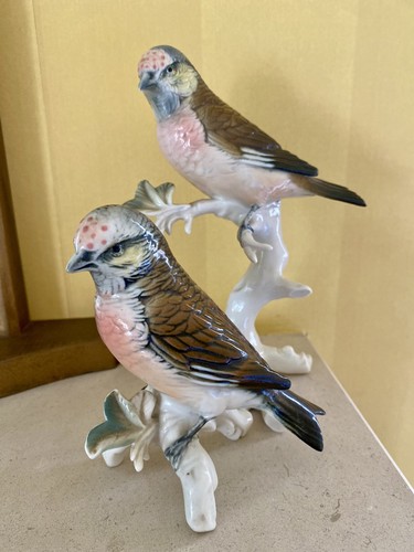 Karl ens volkstedt - -, pair