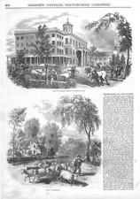 Brighton Hotel and Cattle