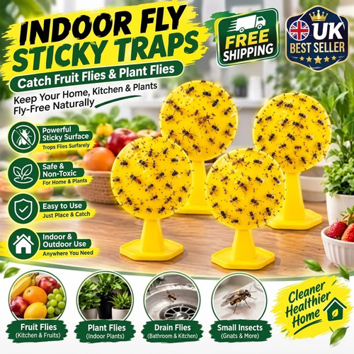 Pcs indoor fly sticky - indoor,